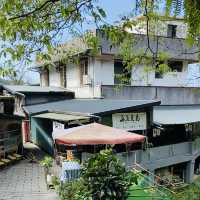 貓空漫遊-步道、美景與茶香的完美結合
