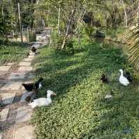 The Ozone Bangkrajao คาเฟ่ย่านบางกระเจ้า