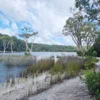 An Epic Adventure on the Cooloola Great Walk 🇦🇺