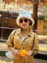 ซาฟารีเวิลด์ 