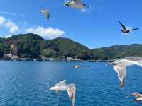 伊根灣的療癒小旅行