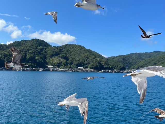 伊根灣的療癒小旅行