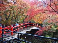 【群馬・伊香保】伊香保温泉♨️🍁石段街と紅葉の名湯巡り✨