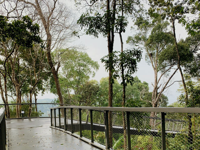 Nature’s Escape at The Habitat Penang Hill! 🌿