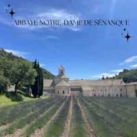 แนะนำจุดชมทุ่งลาเวนเดอร์ ใน Provence ฝรั่งเศส