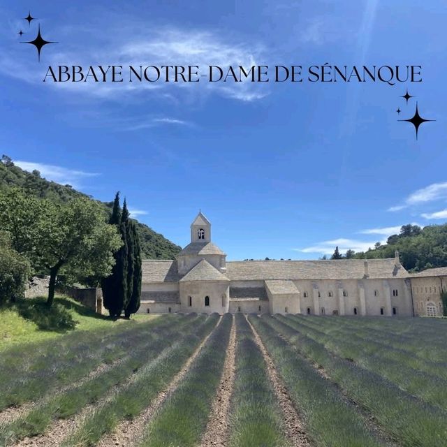 แนะนำจุดชมทุ่งลาเวนเดอร์ ใน Provence ฝรั่งเศส