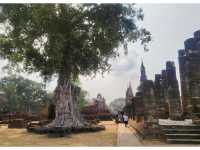 แพลนเที่ยวอุทยานประวัติศาสตร์สุโขทัย