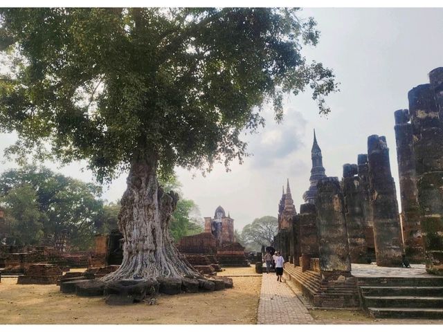 แพลนเที่ยวอุทยานประวัติศาสตร์สุโขทัย