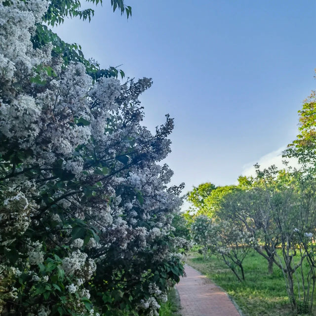 蘭芝川公園 | 河邊的靜謐與美麗