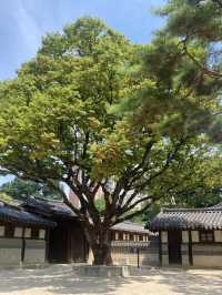首爾6天5夜行程推薦
