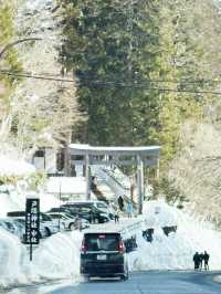 長野景點| 户隱神社(奧社) ~ 白雪中的杉樹林太美了！