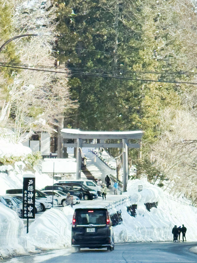 長野景點| 户隱神社(奧社) ~ 白雪中的杉樹林太美了！