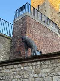 Tower of London