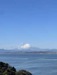 【江ノ島からみる富士山】