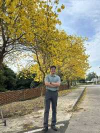 วังสวนบ้านแก้ว