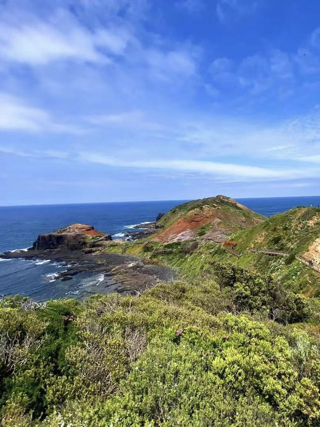 A Breathtaking Coastal Walk at Cape Schanck