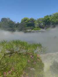 A Tranquil Escape to Ohori Park Japanese Garden