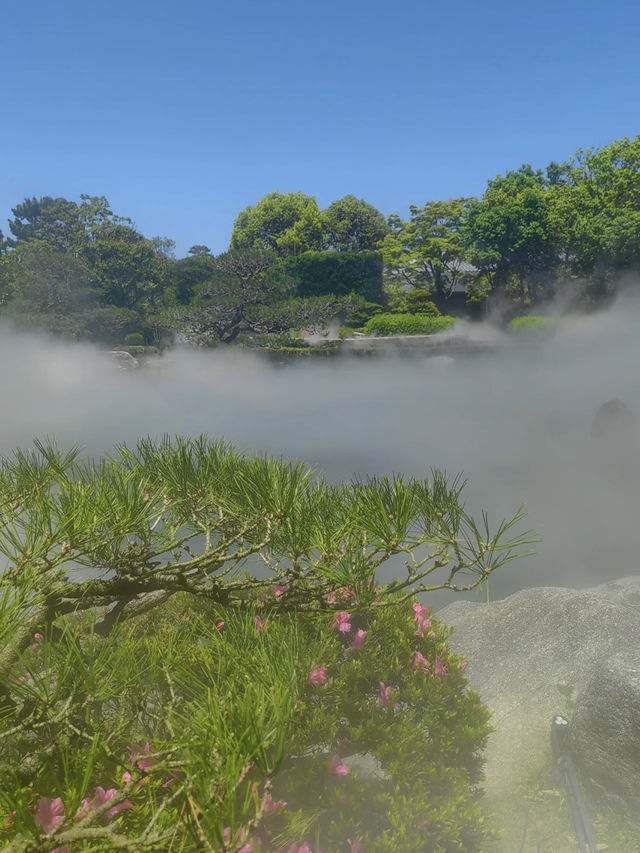 A Tranquil Escape to Ohori Park Japanese Garden