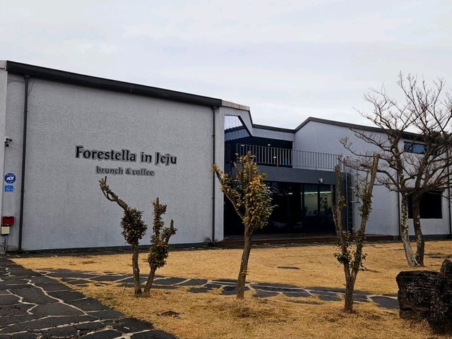Taking a break at Forestella in Jeju