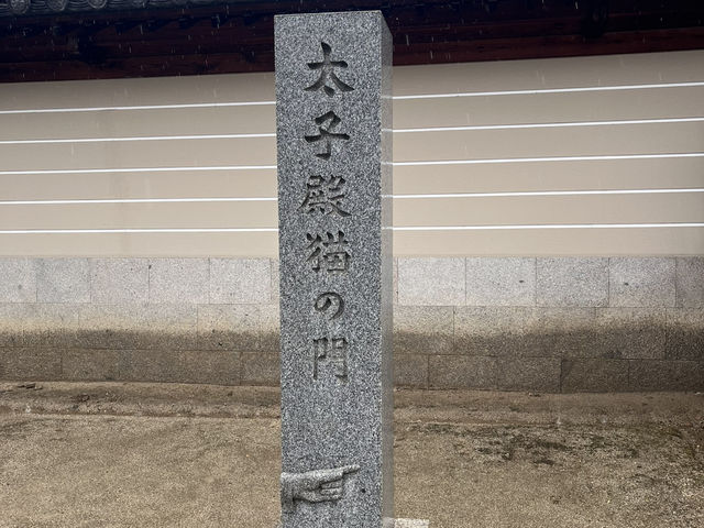 大阪天王寺之旅：便利與人文風情的完美結合