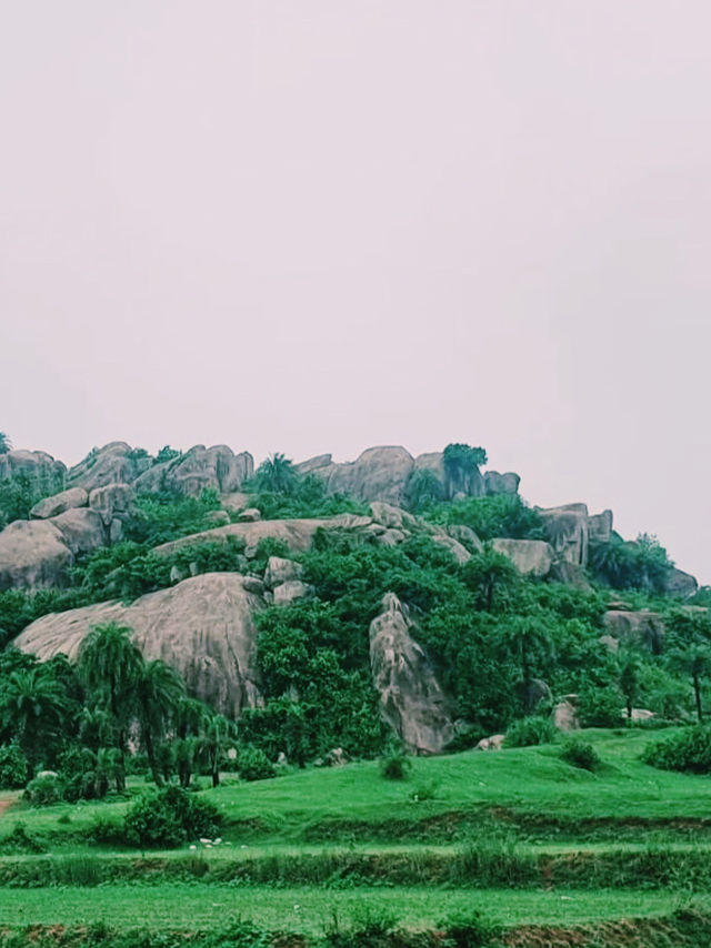 瞑想とヨガの聖地🧘‍♂️🌿