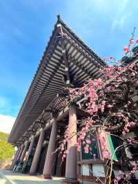 Tochoji Temple (東長寺)