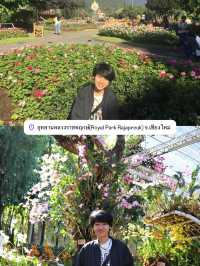มัดรวมที่เที่ยวเชียงใหม่ 1 วัน 