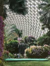 admiring beautiful flower zones like roses and lotuses