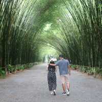 ถ่ายรูปที่อุโมงค์ป่าไผ่ นครนายก
