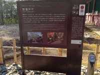 快閃日本仙台：宮城縣鹽竈神社(一宮)