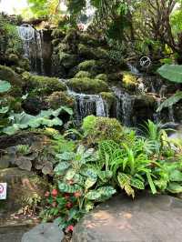 คาเฟ่สวยมากกก
