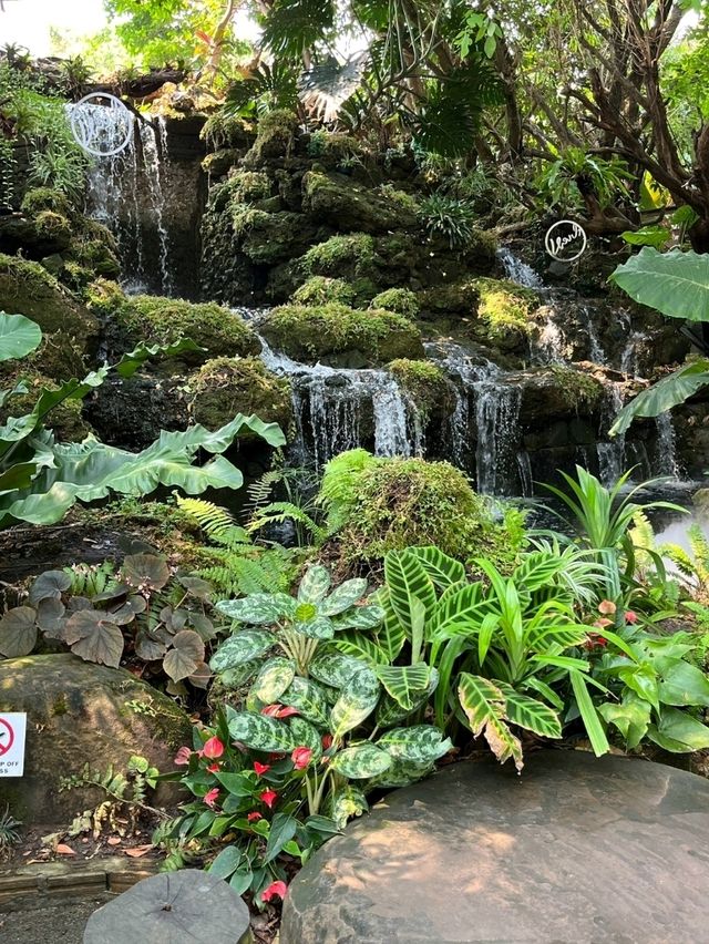 คาเฟ่สวยมากกก