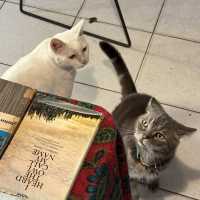A BOOK with NO NAME ร้านหนังสือที่ชิกๆ ย่านสามเสน