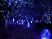 แสงสี ท่ามกลางธรรมชาติ ยามค่ำคืน ณ โอซาก้า