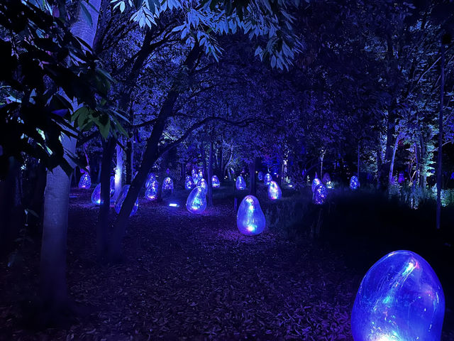แสงสี ท่ามกลางธรรมชาติ ยามค่ำคืน ณ โอซาก้า