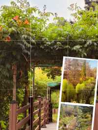 Spring's Hidden Botanical Treasures 