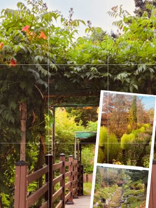 Spring's Hidden Botanical Treasures 