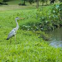 Bishan-Ang Mo Kio Park