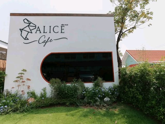 Alice Coffee and Bread Sakonnakhon🐰