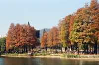 Urban Community at the Sihai Park in Shenzhen 