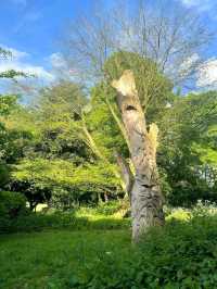 Abbey Park