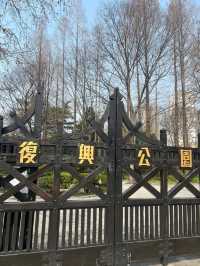 Fuxing Park Cherry Blossoms, Shanghai