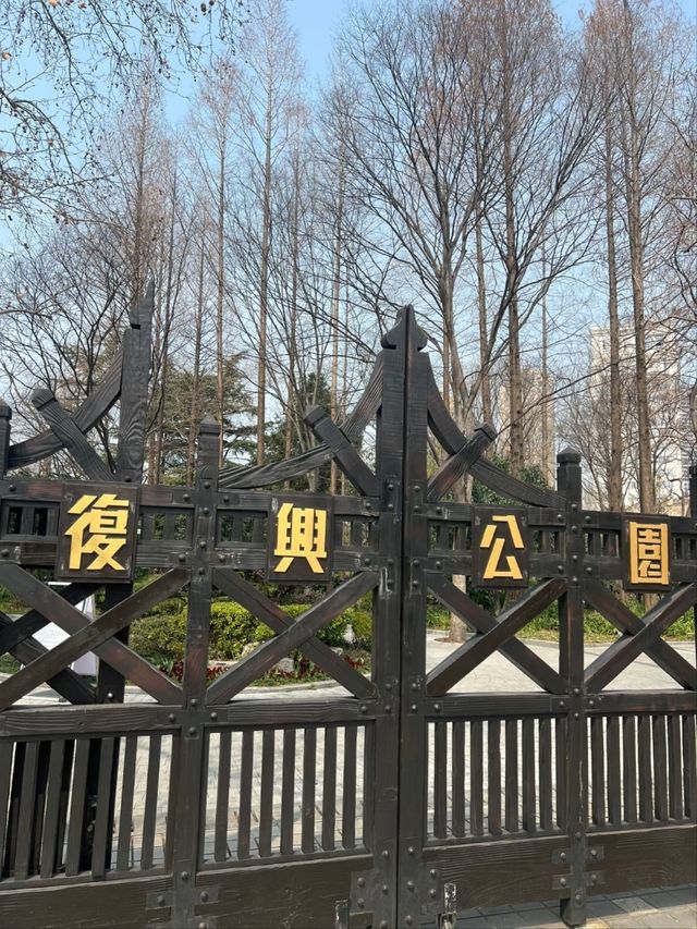 Fuxing Park Cherry Blossoms, Shanghai
