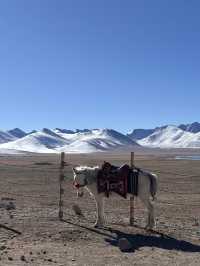 Perfect Day of Adventure and Serenity in Tibet