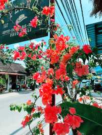 Spring Dine next to Paddy Field: Fuzion