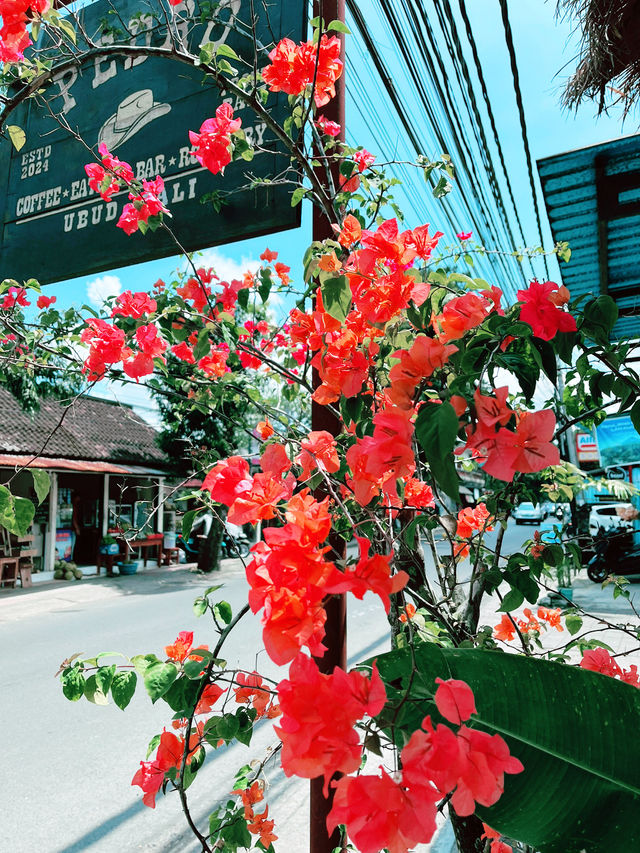 Spring Dine next to Paddy Field: Fuzion