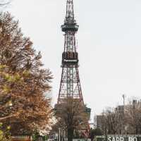 Sapporo: A Winter Wonderland with Year-Round Charm