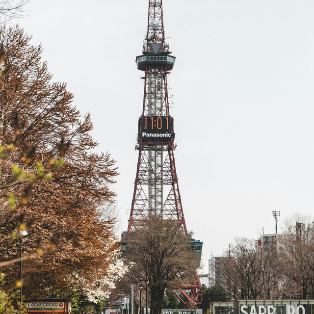 Sapporo: A Winter Wonderland with Year-Round Charm