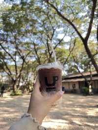 Biscuit Cafe Lampang : คาเฟ่ในแกลอรี่ เกาะคา ลำปาง