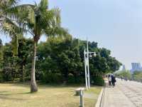🧎沉浸在綠意與海濱風光中🌟深圳灣公園🌳
